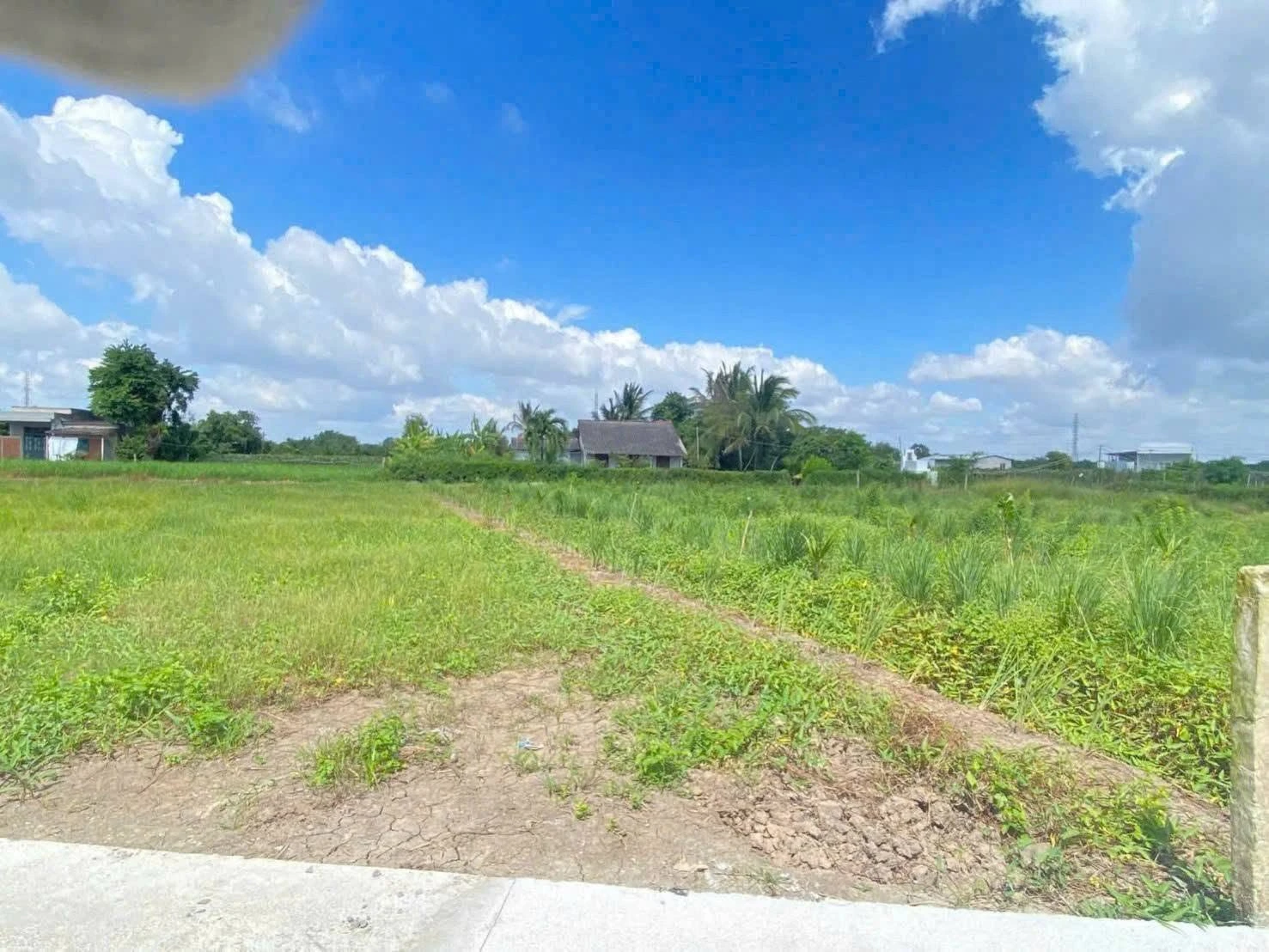 Bán đất thổ cư 115m² Hoà Phú, Long An, giá 499 triệu - Ảnh 1