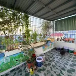 Bán nhà 3.5 tầng 40m² mặt ngõ Đằng Hải, Quận 5 - Ảnh thu nhỏ 2