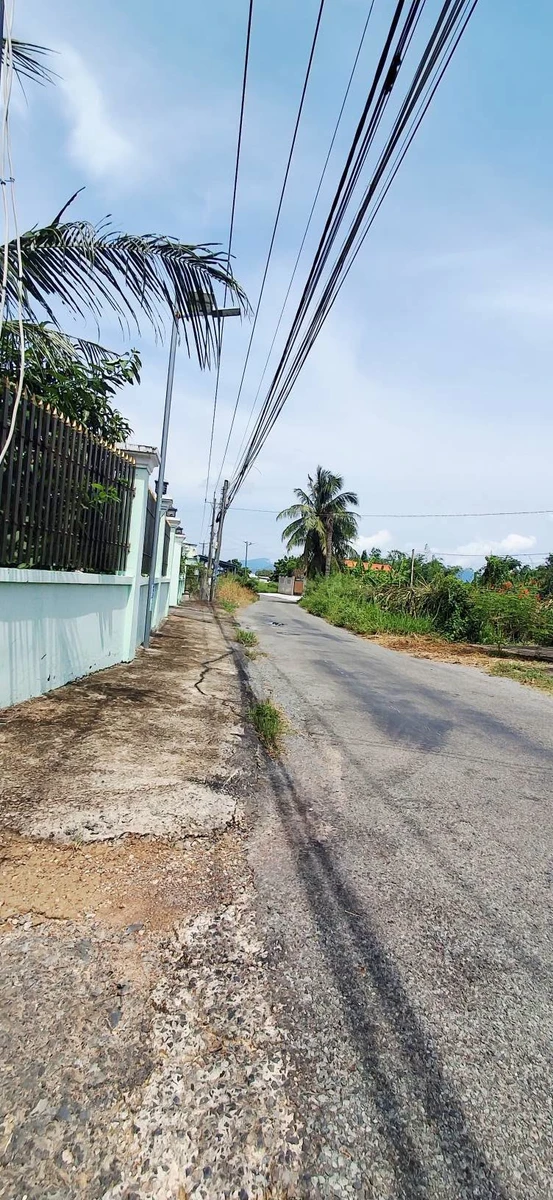 Bán đất 300m² thổ cư giá 550 triệu, đường nhựa Phong Phú, Hàm Mỹ - Ảnh thu nhỏ 3
