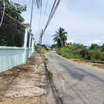 Bán đất 300m² thổ cư giá 550 triệu, đường nhựa Phong Phú, Hàm Mỹ - Ảnh thu nhỏ 3