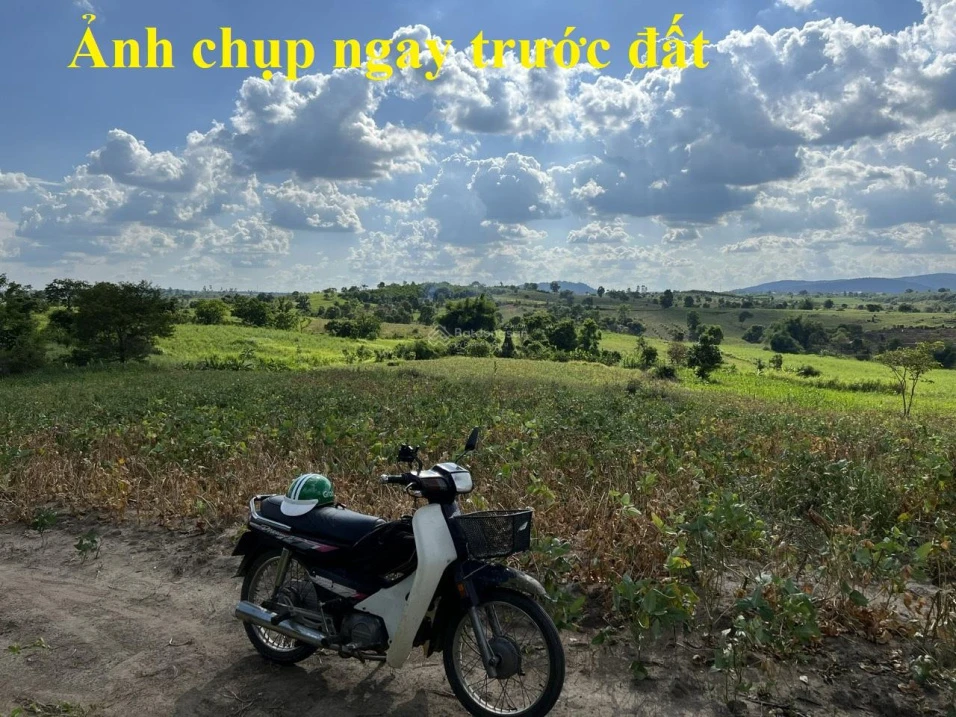 Bán 8 sào đất tại Ea Kar, tỉnh Đắk Lắk - Ảnh thu nhỏ 4