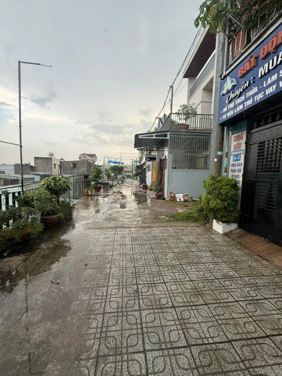 Bán nhà 4 phòng ngủ 120m² Tân Đông Hiệp, Dĩ An, Bình Dương - Ảnh 1