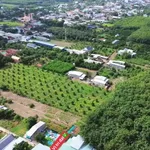 Bán đất Chơn Thành 50m² gần đường số 8 giá 4xx triệu - Ảnh thu nhỏ 3