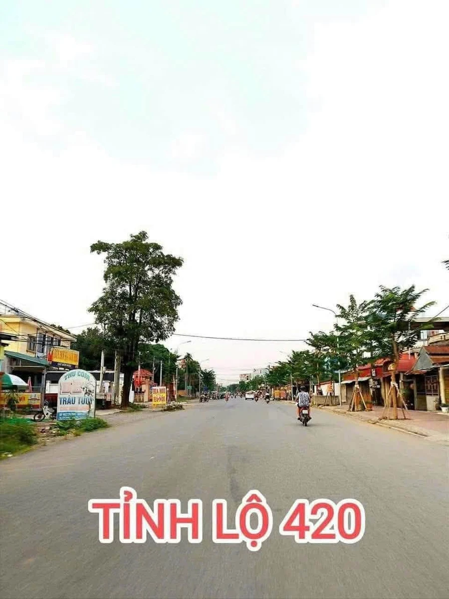 Bán lô đất chính chủ 140m2 tại xã Hạ Bằng gần Khu công nghệ cao Hòa Lạc - Ảnh thu nhỏ 3