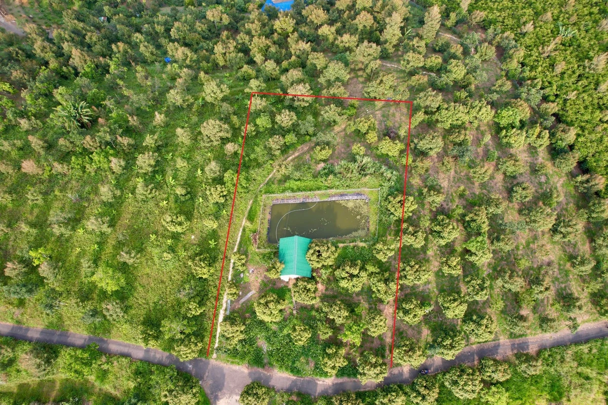 Bán 2000m² đất vườn sầu riêng Bảo Lộc, 1,3 tỷ - Ảnh thu nhỏ 3