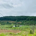Bán lô đất view rừng thông tại Nam Ban, Lâm Đồng - Ảnh thu nhỏ 1
