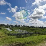 Bán nền 750m² ở Xã Ninh Thạnh Lợi, Cà Mau 450 triệu - Ảnh thu nhỏ 3