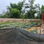 Bán đất thổ cư 104,8m2 mặt tiền 5m tại Đan Tảo, Sóc Sơn, Hà Nội - Ảnh thu nhỏ 3