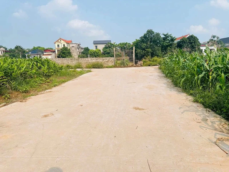 Bán đất 94,7m² mặt tiền 6m Lương Tài, Bắc Ninh
