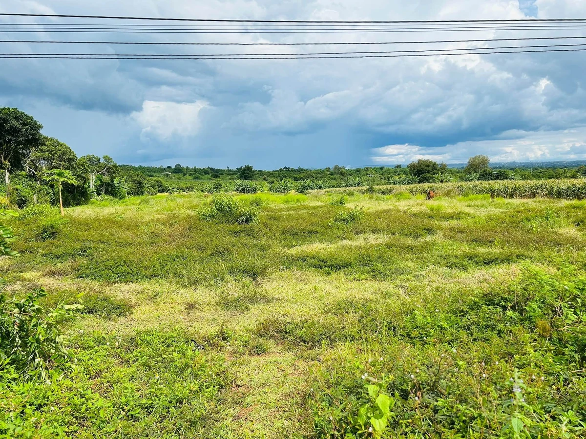 Bán lô đất 4.500 m2 tại Ea Nước, Đắk Lắk - Ảnh thu nhỏ 3