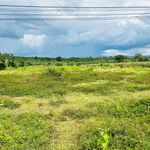 Bán lô đất 4.500 m2 tại Ea Nước, Đắk Lắk - Ảnh thu nhỏ 3