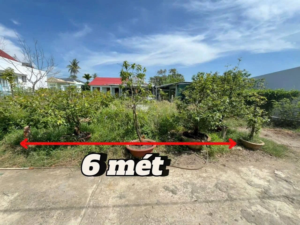Bán đất Diên Toàn 78,5m² 1 tỷ 250 triệu - Ảnh thu nhỏ 2