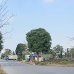 Bán đất đầu tư thực, sinh lời cao khu An Bình Vọng Đông - Ảnh thu nhỏ 2