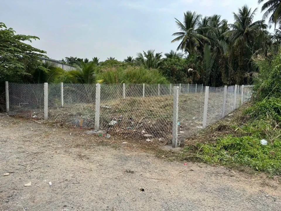 Bán đất 302m² phường Bến Tre, gần Chợ Lớn, 1 tỷ 700 triệu - Ảnh thu nhỏ 4