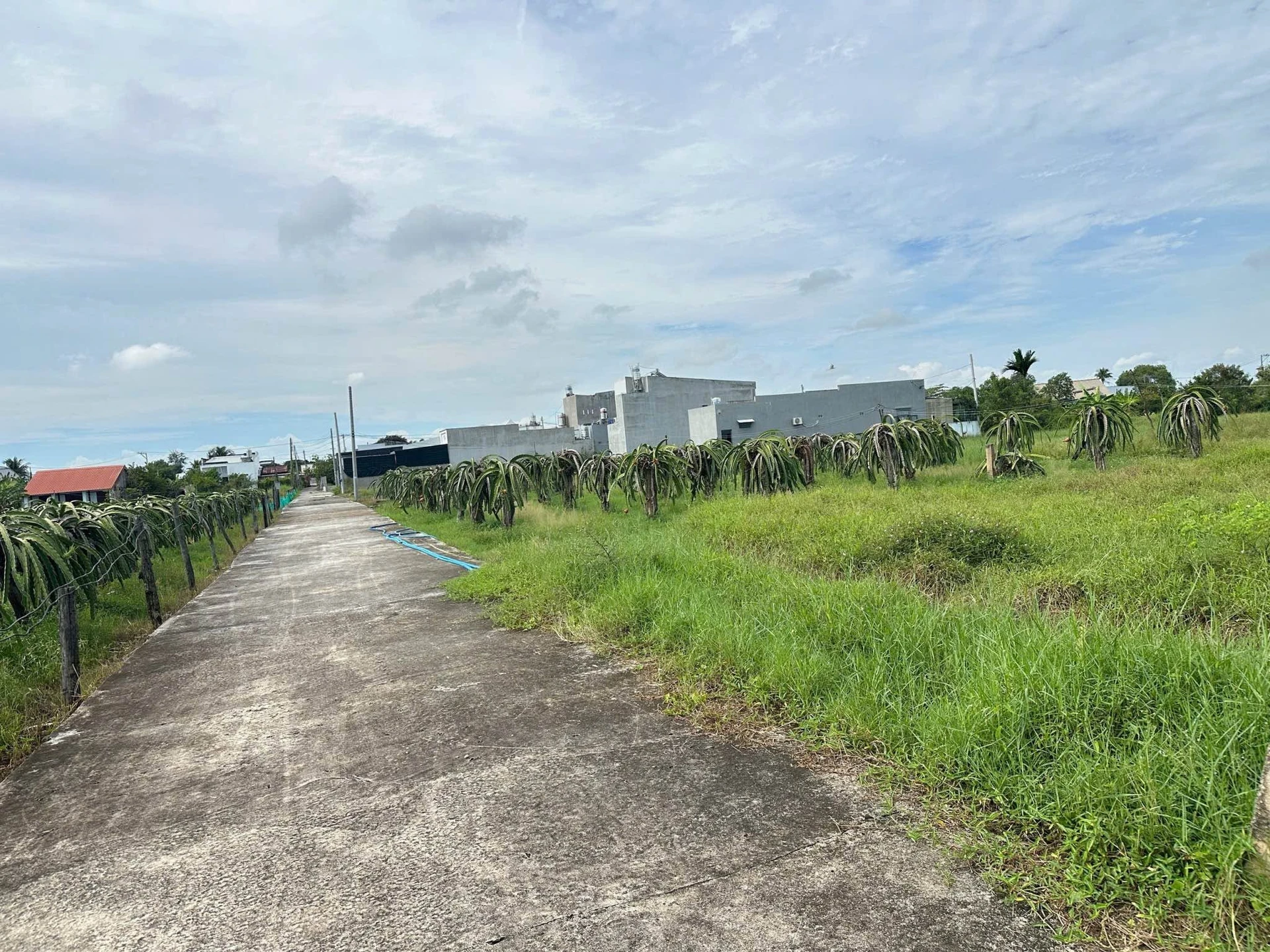 Bán đất thổ cư 300m² Bình Thuận Lâm Đồng - Ảnh 1
