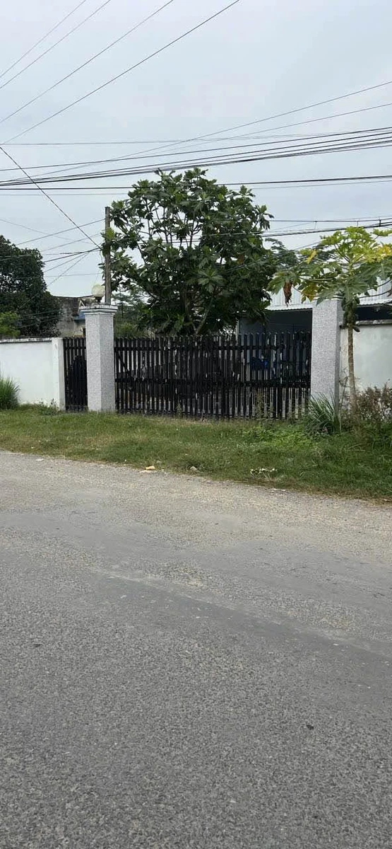 Bán lô đất mặt tiền Mỹ Hạnh Nam 900m2, giá 9 tỷ - Ảnh thu nhỏ 2
