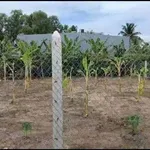 Bán đất nền góc 2 mặt tiền 429m2 ấp 1 Nhị Thành, Thủ Thừa, Long An - Ảnh thu nhỏ 4