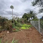 Bán đất Bình Chánh, 5x33m (165m²), 790 triệu - Ảnh thu nhỏ 1