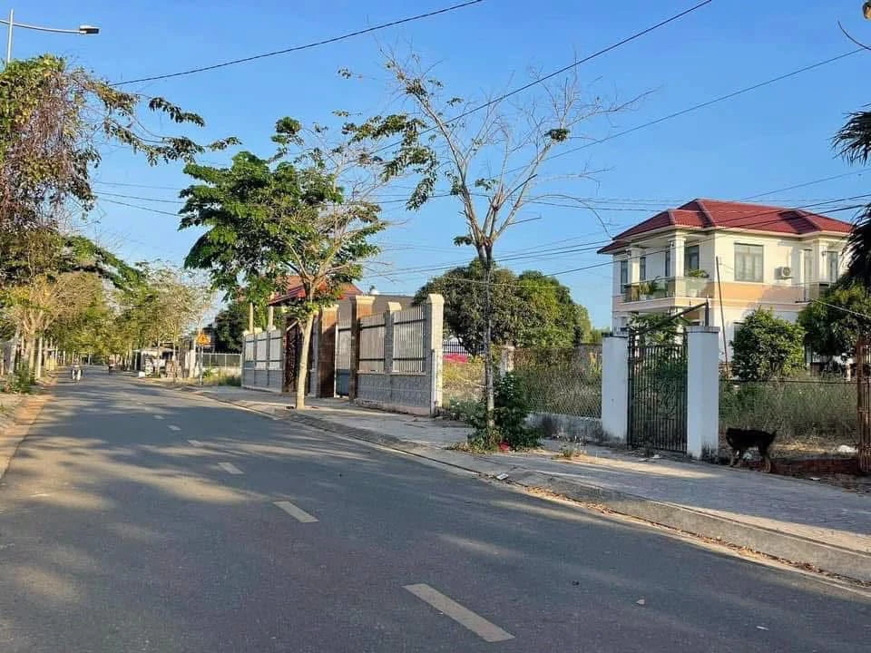 Bán đất mặt tiền đường nhựa số 9 Long Phước, 279m2, Thủ Đức - Ảnh 1