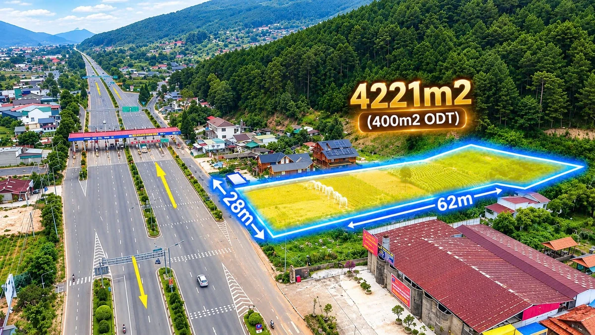 Bán 4.221m² đất nghỉ dưỡng Hiệp An Đà Lạt 49,9 tỷ - Ảnh 1