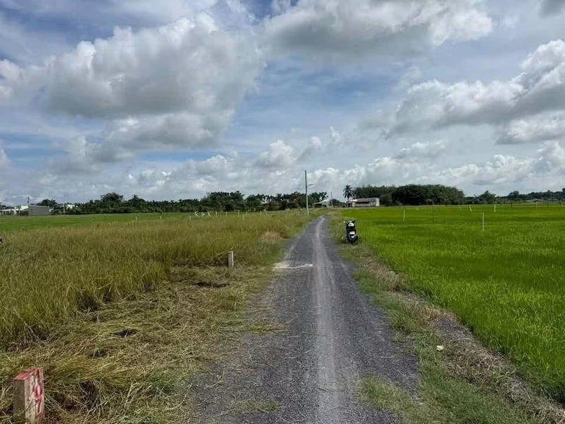 Bán nhà mặt tiền Hoàng Hữu Nam, Thủ Đức, 116m2, nhỉnh 4 tỷ chophuhoa