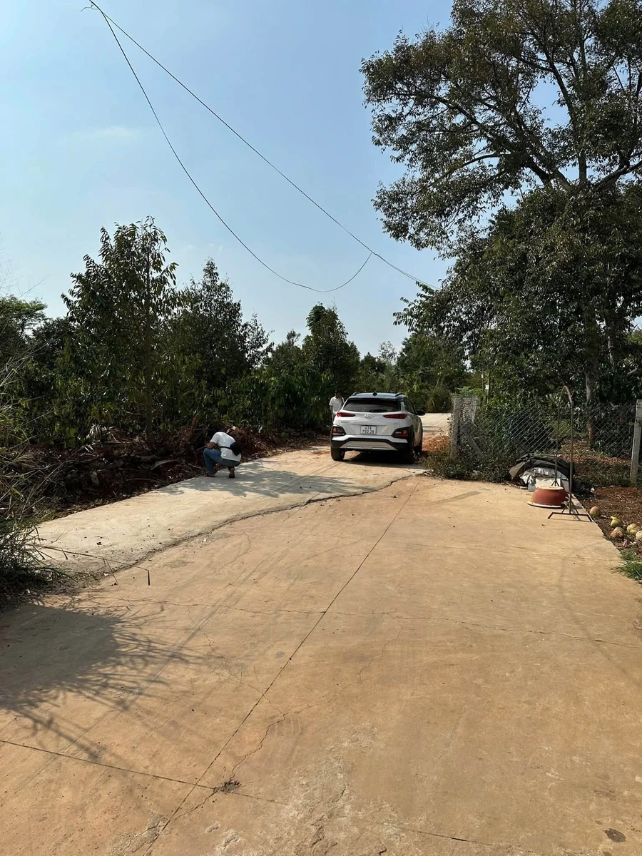 Bán đất hẻm Mậu Thân Tân An 5x20m, 950 triệu - Ảnh thu nhỏ 5