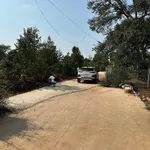 Bán đất hẻm Mậu Thân Tân An 5x20m, 950 triệu - Ảnh thu nhỏ 5