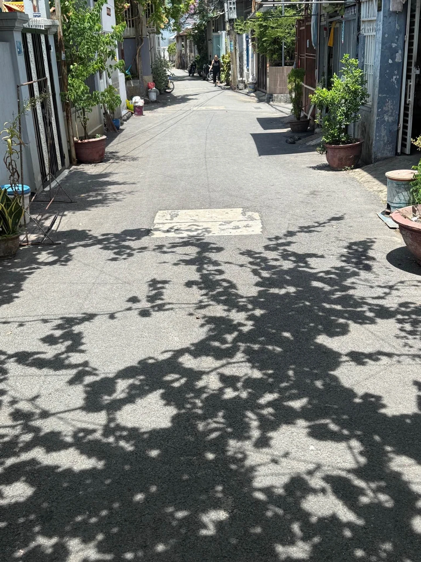 Bán đất 60m2 Sơn Trà sát biển Đà Nẵng - Ảnh 1