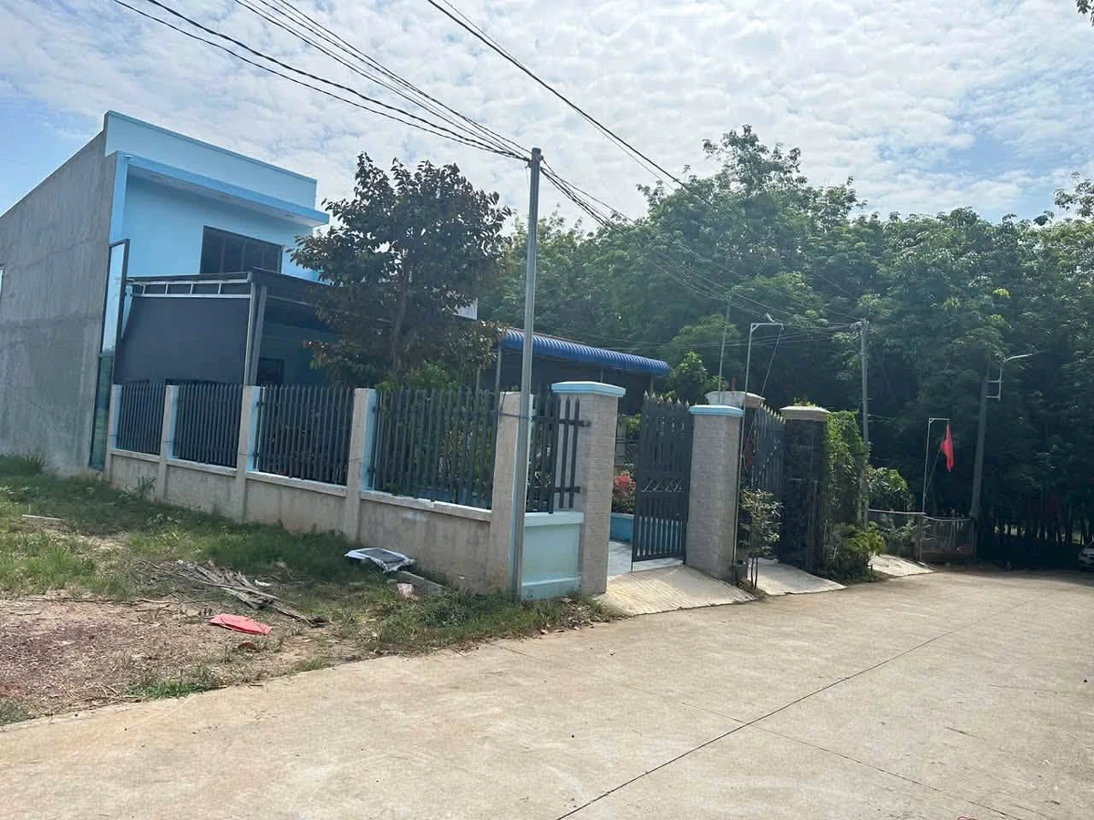Bán lô đất sổ hồng 100m2 Phú Giáo Bình Dương - Ảnh thu nhỏ 5