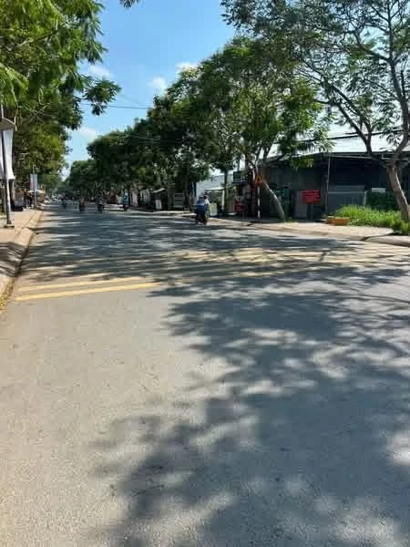 Bán nhà mặt tiền đường Nguyễn Văn Cánh 303m², 3PN, giá 4,35 tỷ, Phú Khương, Bến Tre - Ảnh thu nhỏ 3