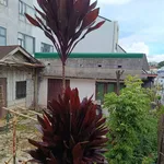 Bán đất SRxD 70m² Hẻm Trần Phú Đà Lạt 5 tỷ 5 - Ảnh thu nhỏ 2