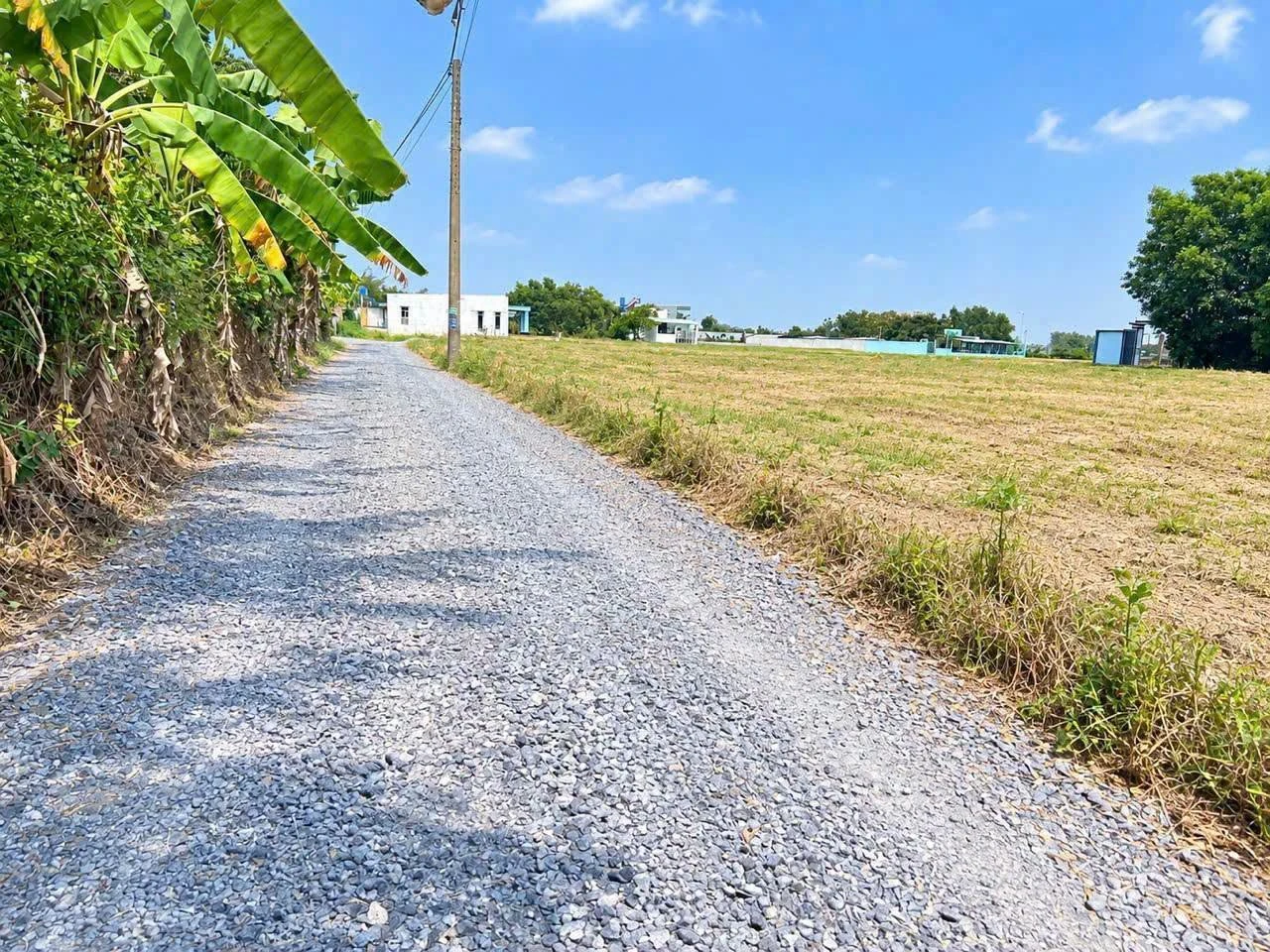 Bán đất thổ cư 105m2 (5x21m) Hòa Khánh Đông, Đức Hòa, Long An giá 620 triệu - Ảnh 1