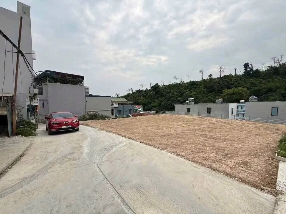 Đất nền Nguyễn Văn Cừ Hạ Long 50m2, 1 tỷ - Ảnh thu nhỏ 3