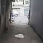 Bán nhà 1 trệt 2 lầu gần mặt tiền Bạch Đằng, Phường 24, Bình Thạnh, đang cho thuê trên 20 triệu/tháng - Ảnh thu nhỏ 2