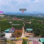 Bán lô đất mặt tiền Võ Thị Sáu 6x24m (144m²), sổ hồng sẵn - 335 triệu - Ảnh thu nhỏ 4