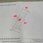 Biệt thự liền kề Hinode Royal Park 90m² 5 tầng Hoài Đức bán 14 tỷ - Ảnh thu nhỏ 4