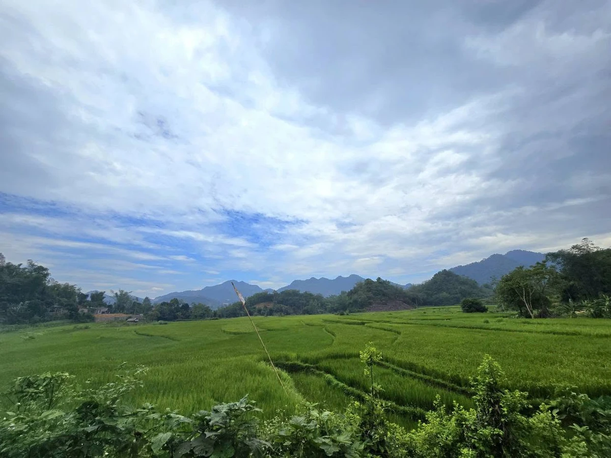 Bán đất 500m2 view núi Đà Bắc Hòa Bình 699 triệu - Ảnh thu nhỏ 2
