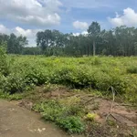 Bán đất 1000m² có nhà cấp 4 tại Bình Phước 390 triệu - Ảnh thu nhỏ 2