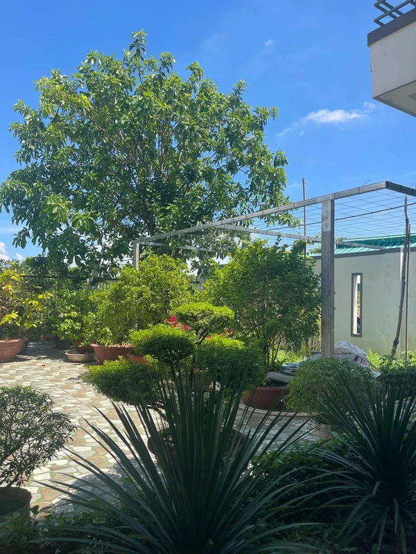 Bán đất nhà vườn 387m² có 200m² thổ cư tại Diên Toàn, Diên Khánh giá 4,3 tỷ