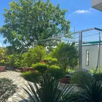 Bán đất nhà vườn 387m² có 200m² thổ cư tại Diên Toàn, Diên Khánh giá 4,3 tỷ - Ảnh thu nhỏ 1