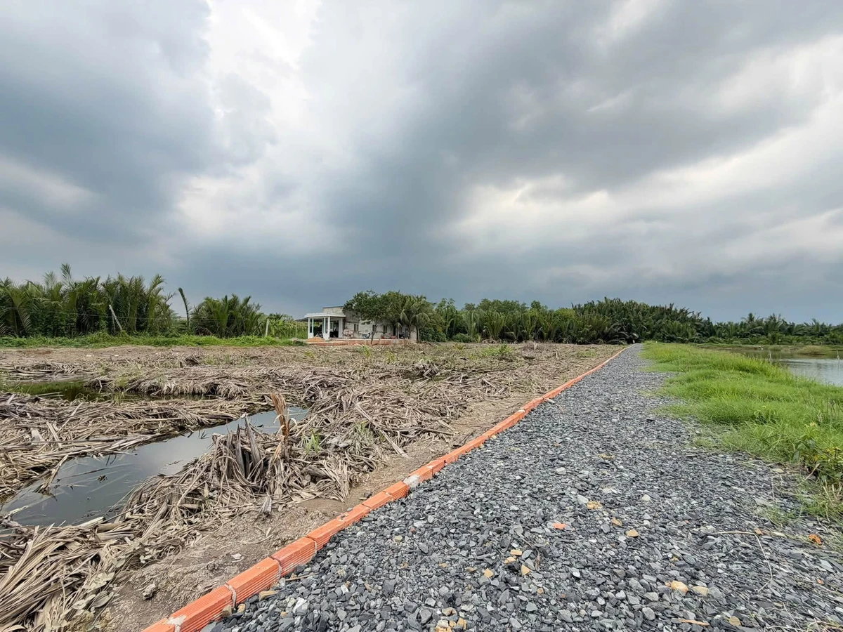 Bán 3.762m2 đất lúa Xã Phước Vĩnh Tây giá 3.7 tỷ - Ảnh thu nhỏ 2