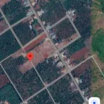 Bán đất Hóc Môn 125m² 320 triệu Ô Bàn Cờ - Ảnh thu nhỏ 1
