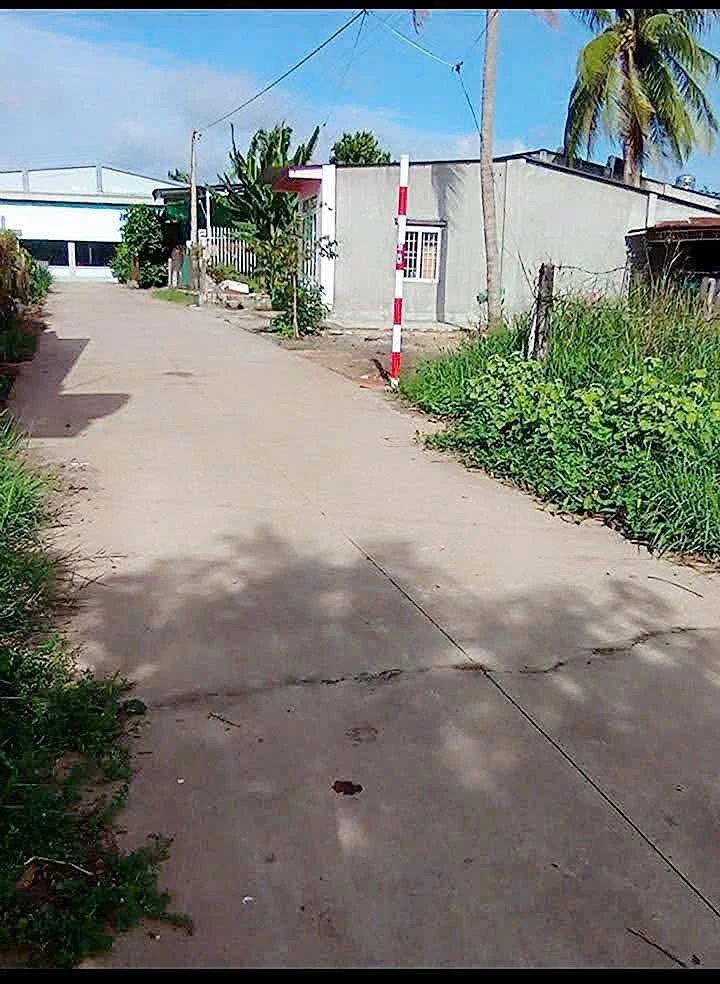 Bán đất 7x20m (140m2) giá 660 triệu tại Cầy Xiêng, Châu Thành, Tây Ninh - Ảnh thu nhỏ 2