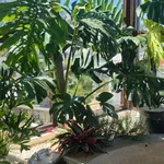 Chính chủ đầu tư mở bán khu biệt thự Đà Lạt phong cách Pháp, với tên gọi "La Cerise Dalat Villas - Ảnh thu nhỏ 15
