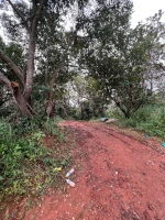 Bán ~6,6ha đất ven hồ trung tâm TP Gia Nghĩa - Ảnh thu nhỏ 5
