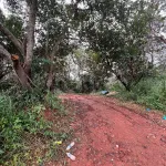 Bán ~6,6ha đất ven hồ trung tâm TP Gia Nghĩa - Ảnh thu nhỏ 5