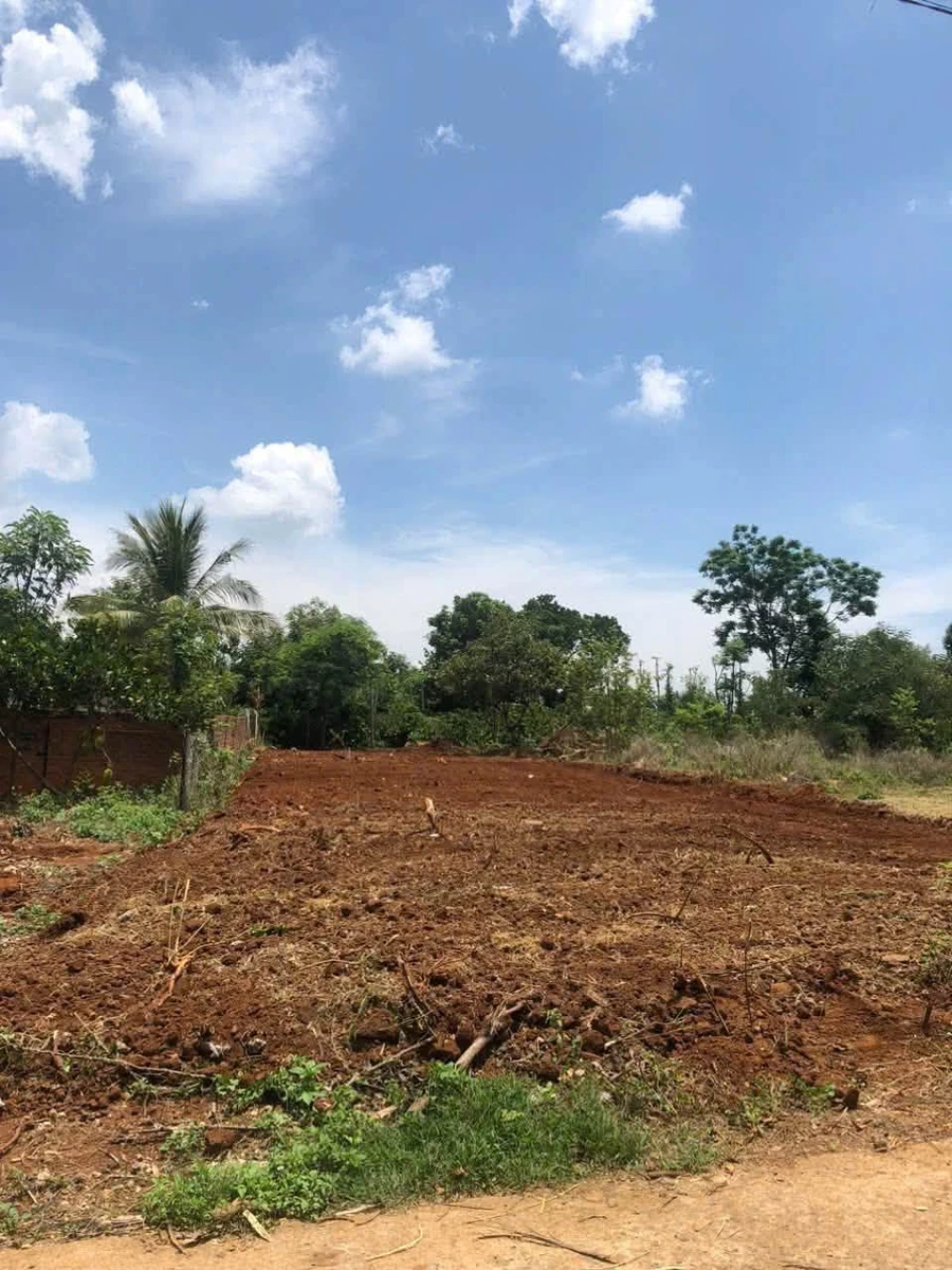 Bán đất Bình Chánh 400m2, 2.5 tỷ - Ảnh 1