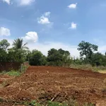Bán đất Bình Chánh 400m2, 2.5 tỷ - Ảnh thu nhỏ 1