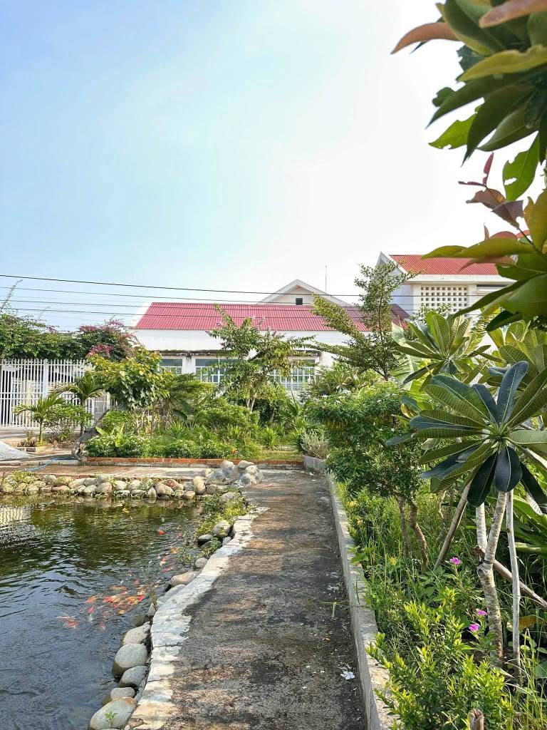 Bán nhà vườn 440m2 Phường Bình Thuận, Phan Thiết 2.5 tỷ - Ảnh thu nhỏ 5