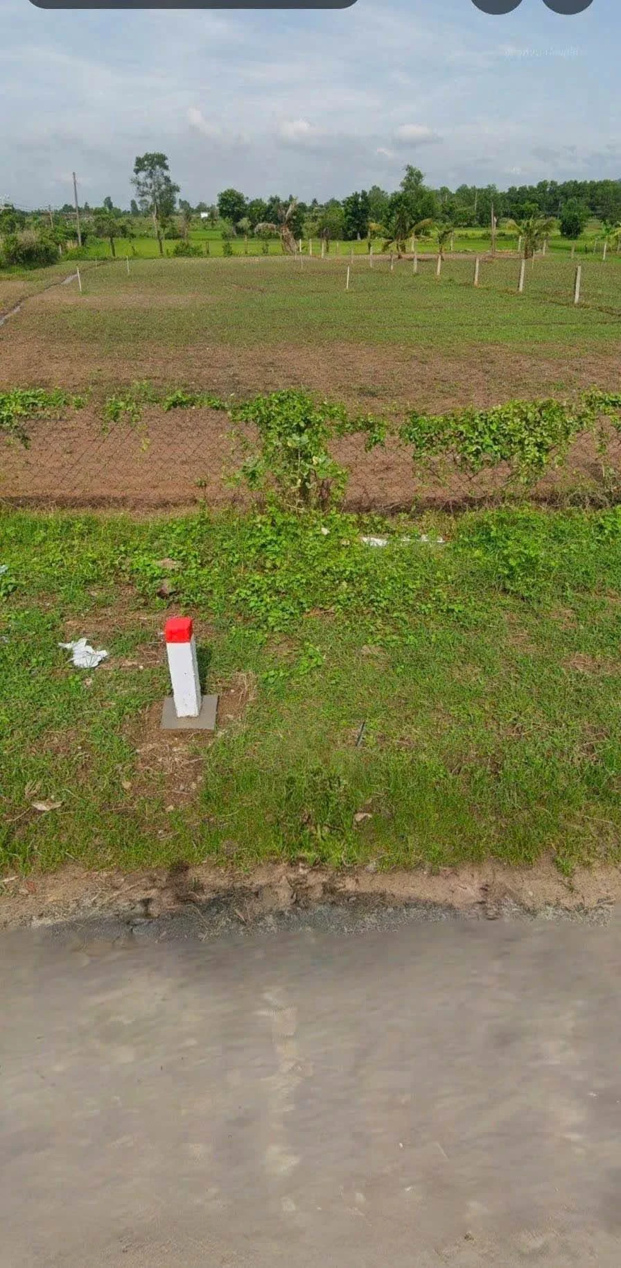 Bán đất nền 5000m² mặt nhựa Hàm Liêm, Lâm Đồng - Ảnh 1